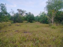  Land for sale in Bohol, Central Visayas, Panglao, Bohol