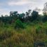  Land for sale in Panglao, Bohol, Panglao