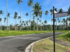  Land for sale in Tiaong, Quezon, Tiaong