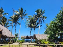  Grundstück zu verkaufen in Palawan, Mimaropa, Quezon