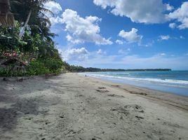  Grundstück zu verkaufen in Palawan, Mimaropa, Quezon