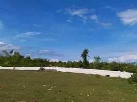  Land for sale in Badian, Cebu, Badian