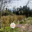  Land for sale in Ricaurte, Cuenca, Ricaurte