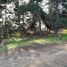  Terreno (Parcela) en venta en Chile, Viña del Mar, Valparaíso, Valparaíso, Chile