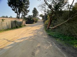  Terreno (Parcela) en venta en Chile, Viña del Mar, Valparaíso, Valparaíso, Chile