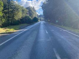  Terreno (Parcela) en venta en Valdivia, Los Ríos, Mariquina, Valdivia