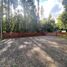  Terreno (Parcela) en venta en Valdivia, Los Ríos, Mariquina, Valdivia