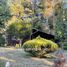  Land for sale in Loncoche, Araucania, Loncoche
