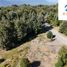 Land for sale in Araucania, Pucon, Cautin, Araucania