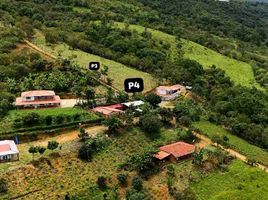  Land for sale in San Gil, Santander, San Gil