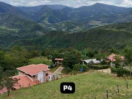  Land for sale in Santander, San Gil, Santander