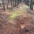  Terreno (Parcela) en venta en Maule, Cauquenes, Cauquenes, Maule