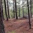  Terreno (Parcela) en venta en Maule, Cauquenes, Cauquenes, Maule