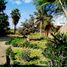  Terreno (Parcela) en venta en Piura, Piura, Piura, Piura, Piura