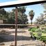  Terreno (Parcela) en venta en Piura, Piura, Piura, Piura, Piura