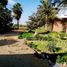  Terreno (Parcela) en venta en Piura, Piura, Piura, Piura, Piura