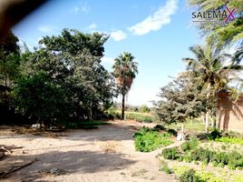  Terreno (Parcela) en venta en Piura, Piura, Piura, Piura, Piura