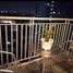 1 Habitación Departamento en venta en Quezon City, Metro Manila, Quezon City