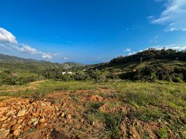  Land for sale in El Santuario, Antioquia, El Santuario