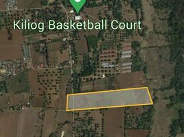  Land for sale in Bukidnon, Northern Mindanao, Libona, Bukidnon