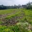  Land for sale in Kerambitan, Tabanan, Kerambitan