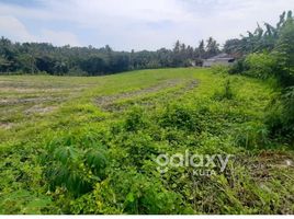  Land for sale in Kerambitan, Tabanan, Kerambitan