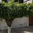 3 침실 주택을(를) Jocotepec, 할리 스코에서 판매합니다., Jocotepec