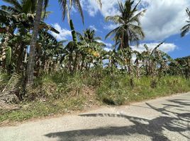  Land for sale in Maragondon, Cavite, Maragondon