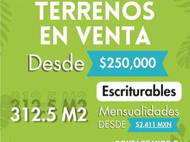  Terreno (Parcela) en venta en Lazaro Cardenas, Quintana Roo, Lazaro Cardenas