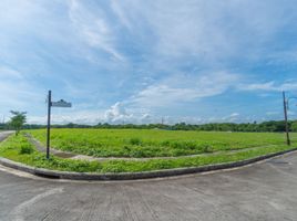  Land for sale in Las Pinas City, Metro Manila, Las Pinas City
