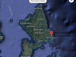  Land for sale in Surigao del Norte, Caraga, General Luna, Surigao del Norte