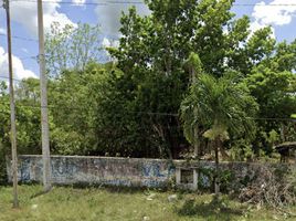  Terreno (Parcela) en venta en Peto, Yucatán, Peto