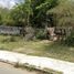  Terreno (Parcela) en venta en Peto, Yucatán, Peto