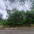  Terreno (Parcela) en venta en Antipolo City, Calabarzon, Antipolo City, Rizal