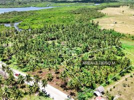  Grundstück zu verkaufen in Surigao del Norte, Caraga, General Luna