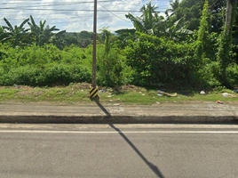  Land for rent in Compostela, Cebu, Compostela