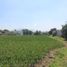  Terreno (Parcela) en venta en Atlixco, Puebla, Atlixco