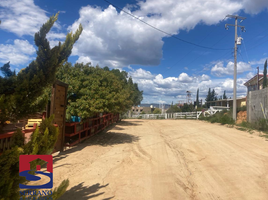  Grundstück zu verkaufen in Ensenada, Baja California, Ensenada