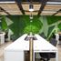 12 m² Office for rent in Azcapotzalco, Mexico City, Azcapotzalco