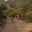  Land for sale in Pocho, Cordoba, Pocho
