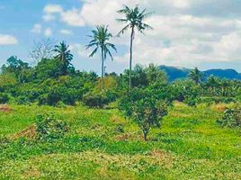  Land for sale in Laguna, Calabarzon, Santa Maria, Laguna