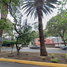 4 Schlafzimmer Villa zu verkaufen in Miguel Hidalgo, Mexico City, Miguel Hidalgo