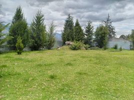  Terreno (Parcela) en venta en Otavalo, Imbabura, Otavalo, Otavalo