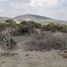  Terreno (Parcela) en venta en San Agustin Tlaxiaca, Hidalgo, San Agustin Tlaxiaca