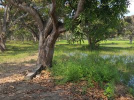  Terreno (Parcela) en venta en Guayas, Guayaquil, Guayaquil, Guayas