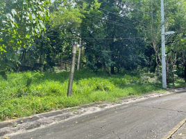Terrain à vendre à Antipolo City, Calabarzon, Antipolo City, Rizal
