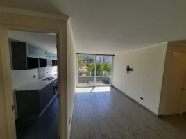 在智利出租的 公寓, Santiago, Santiago, Santiago, 智利