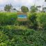  Terreno (Parcela) en venta en Santa Rosa City, Calabarzon, Santa Rosa City, Laguna