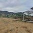  Land for sale in Charapoto, Sucre, Charapoto