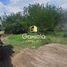  Land for rent in Culiacan, Sinaloa, Culiacan